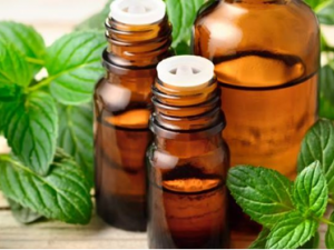 ���ӵ���������� ��ҽ������γԳ�����