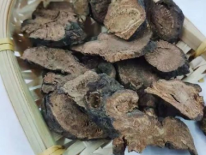 �������Ĺ�Ч���� ����������Ѫ