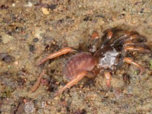 �H�}�Ĺ�Ч �H�}��һ�ж���