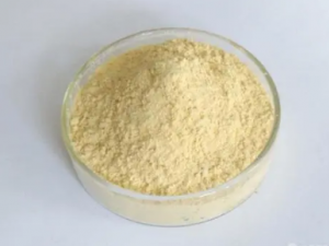 ���յĹ�Ч���� ���վ��п����Ļ���