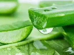 �������«����Ĥ «����Ĥ�������ݵ�����