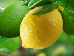 ���ʵĻ�����Ч����Щ ������ô������