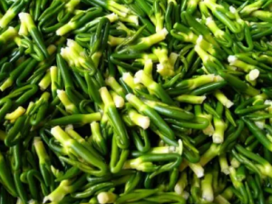 �����ĵĹ�Ч���� �����Ŀ�����ȥ��ֹѪ