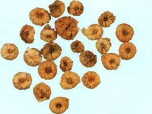 �������Ĺ�Ч���� �������������ˮ��