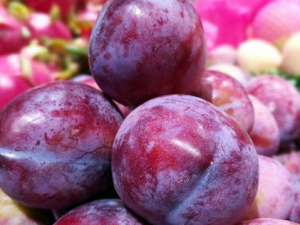 ���շ�ɹˮ������Щ ��γԲ��ܸ���ɹ