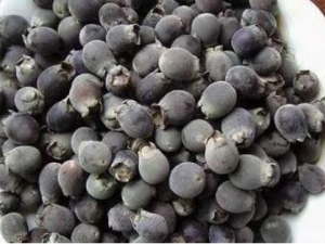 �䷹���Ĺ�Ч �䷹������ͷʹ����