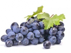 ����Ҳ���кܶ���ʳ���� ����ţ��ͬʳ�׸�к