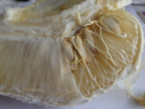 ����ʳ�ý��� ��Щ�˲��˳�����