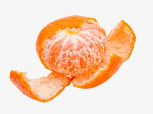 ���Ӳ�������Щ��������� �����ܲ�һ��Ե�Σ��