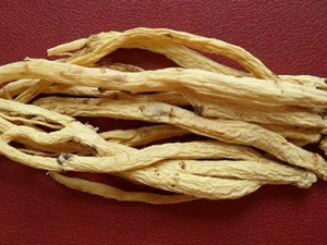 Ů�˳��Ե��ο���������