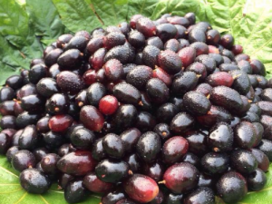 ��÷�����ݷ��� ��÷��ʴ���������