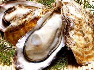 ĵ��ʳ��������˱� ĵ����ʳ����