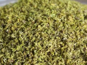 ήި���Ĺ�Ч ήި�����ͷ���ǿ��ʹ