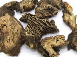 ��������ݹ�Ч ��������������ݼ���