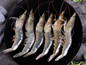 ����Ϻ�����ܳ�ʲô ����Ϻ�ܲ��ܳ�����