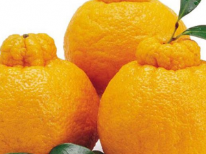 ���θ�Ƥ�Ĺ�Ч ���θ�Ƥ���������յ�����