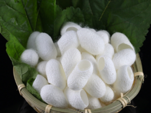 �ϼ�Ĺ�Ч �ϼ����δ�����ͷ