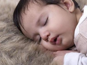 �˺�����ʳԭ�� �˺������ʳ�õÿ�