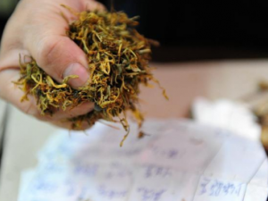 �Ӹ���Ĺ�Ч �Ӹ�����ƢԪ����