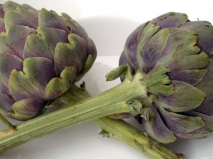 �˼��Ĺ�Ч �˼������������йʪҩ�Է���