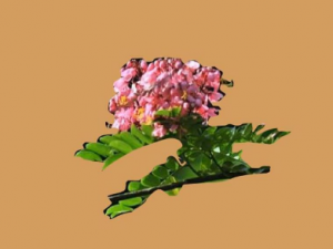 ��ƶ��Ĺ�Ч ��ƶ�����ͨ��