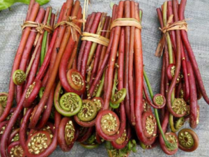 ާ˵Ĵ Щʳﲻ˻ާһ