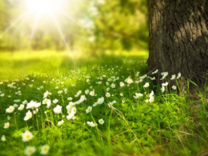 î����Ĺ�Ч î���������ۼ�