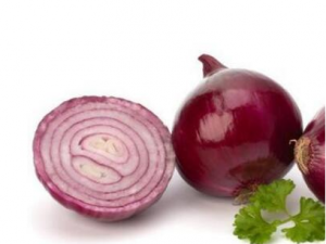 ��������ʳ���� ������Ӧ�����ʳ