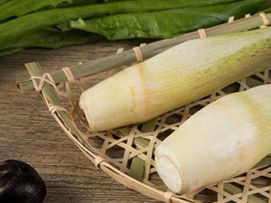 �����׵Ľ��� ��Щ�˲��˳�����