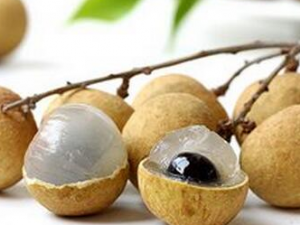 ʳ��������ʱ�Ľ��� ʳ������������Щ����