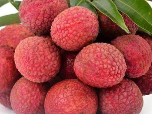 ʳ֦ʱҪעĽ ʳ֦ʱм㲻