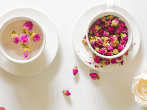 �����ʺϺ�õ�廨���� �������ע����ʳ