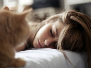 �＾��ʳ��Щ��Ʒ С���Ƽ�һЩ��Ʒ