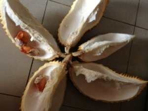 ����������Щ��Ч �������㽵��