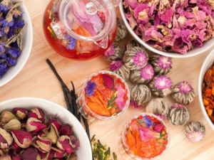 ��Ů�����������õĻ����Ƽ� ���������Ч��