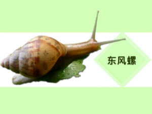 �����ݵĹ�Ч �����ݳ����ڱ���