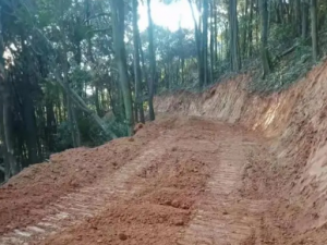 ��𵤵Ĺ�Ч �����������Ѫ