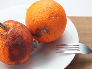 2��ʳ��������շ��ΰ� ���λ��εķ���