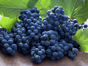 �Ŷ�����Щ����Ҫע�� Ů�Գ�ʲô�Ը����Ŷ���