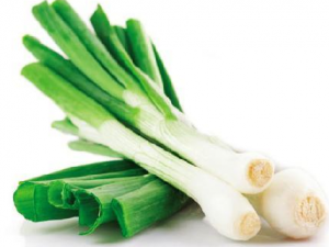 ��Щ��Ҫ���Դ�� ��֪����