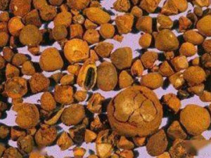 ������Ĺ�Ч ��������С���Գ�ϲҡͷ