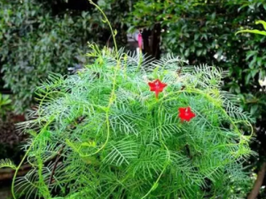 �����ܵĹ�Ч �������������ʹ