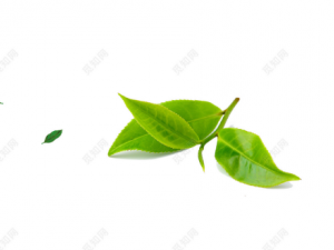 �ڽڲ�Ĺ�Ч �ڽڲ賣���ڸ�ð