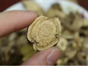 ������Ĺ�Ч ��������������������