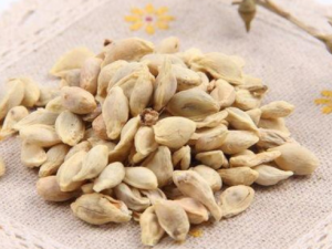 ��Щ������Ҳ�����ӵ��� �Ժ�һ��Ҫ������Ŷ