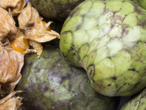 ֦ʳý Щʳﲻ뷬֦ͬʳ