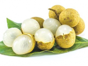 ��ҩ�ڼ���֪����Щʳ���ǲ��ܳ���