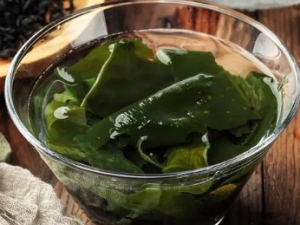 ����ѧ����Σ����� һ�����˽�һ�°�