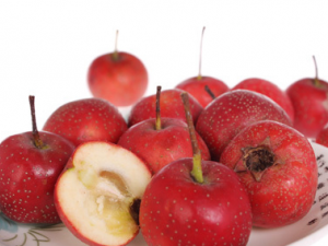 Ů���ճ���ѪӦ��ʲô С���Ƽ��ĺ�ʳ��