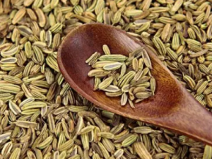 �����ѵĹ�Ч �����ѵ�Ӫ����ֵ